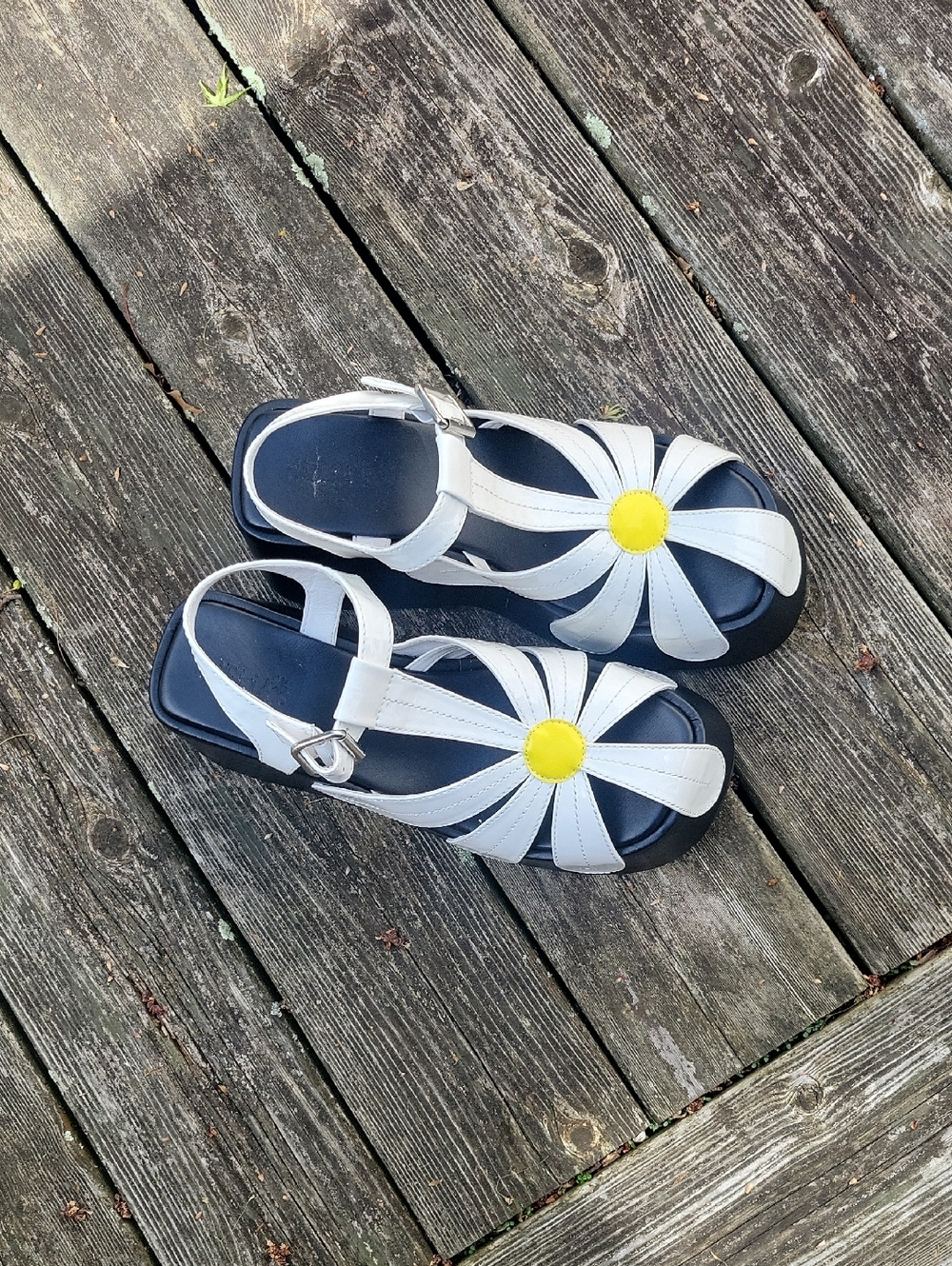 Delia's By Dolls Kill Forever Frolicking Platform Sandals